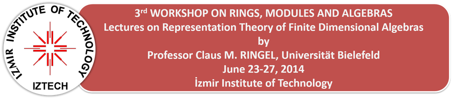 WORKSHOP ON RINGS MODULES AND ALGEBRAS